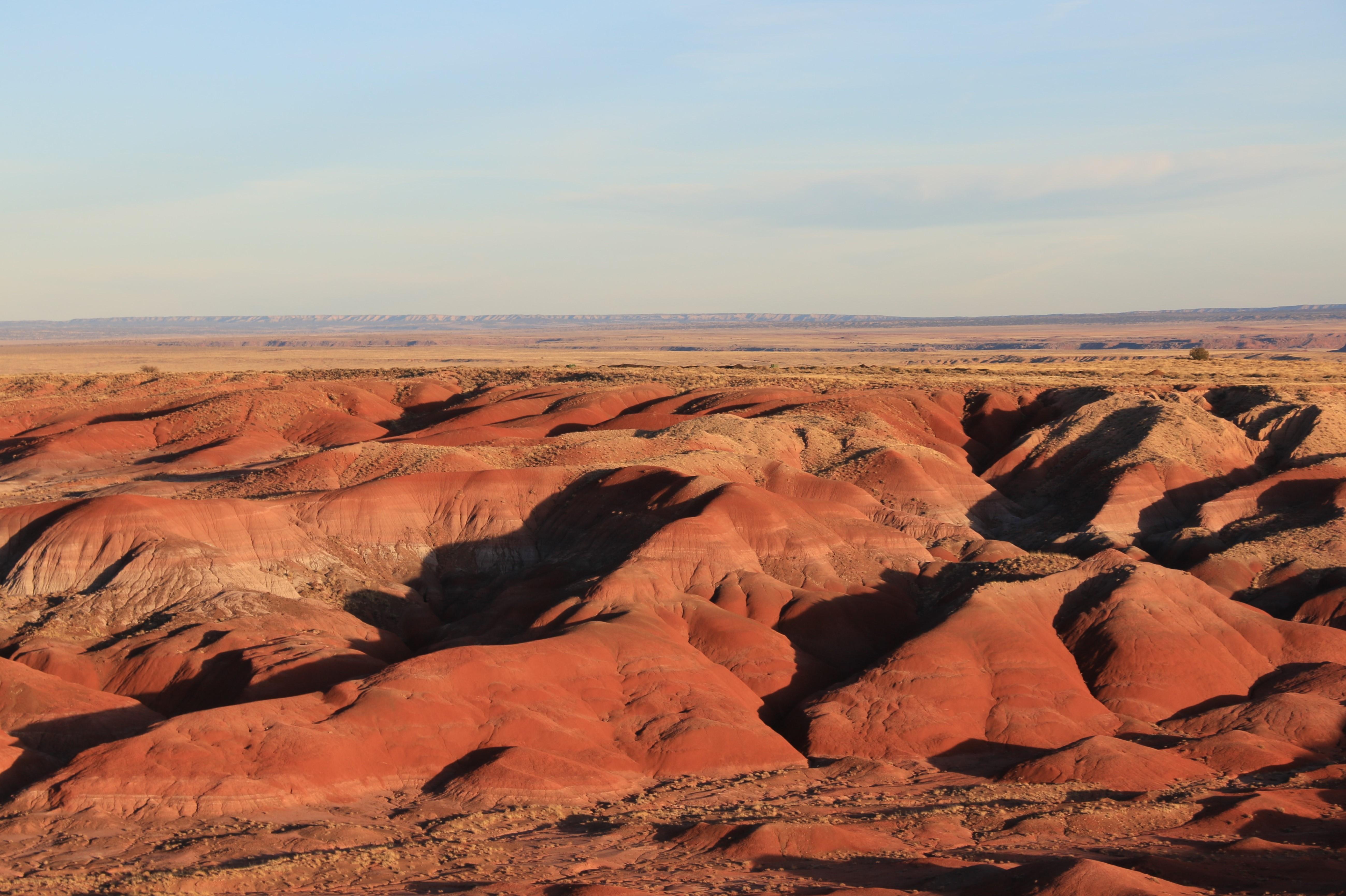 Petrified Forest NP